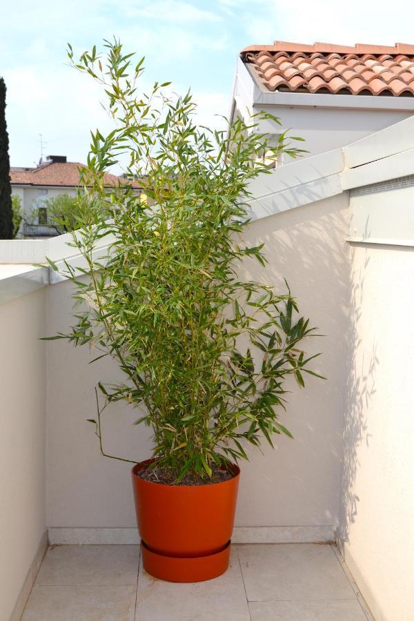 Zen Ar Holiday-Home Peschiera del Garda Exteriör bild